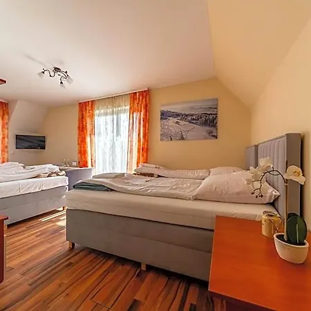 Hotel Dw Halny Tatranská Bukovina